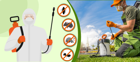 Emergency Pest Control Sunbury